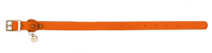 Collar Waterproof Orange Crush