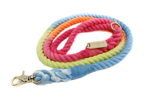 Rope Lead Summer Swirls