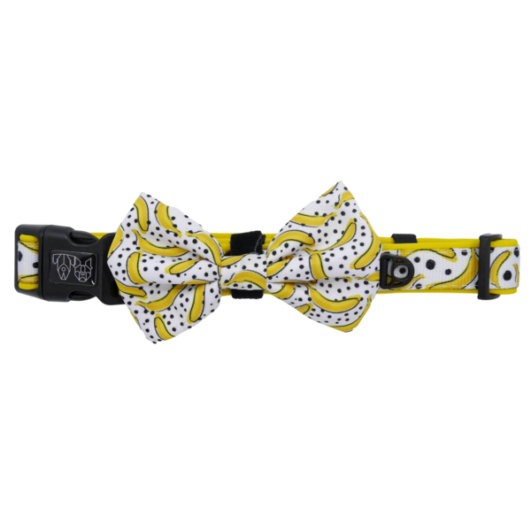 Collar + Bowtie Going Bananas