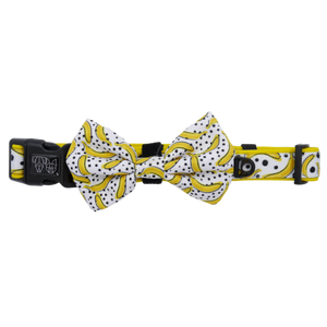 Collar + Bowtie Going Bananas