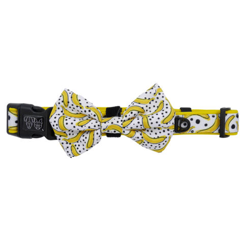 Collar + Bowtie Going Bananas