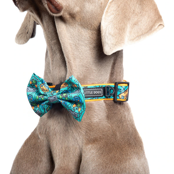 Collar + Bowtie Game Over