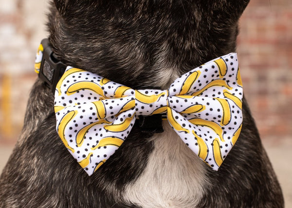 Collar + Bowtie Going Bananas