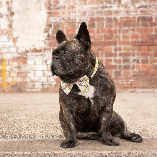 Collar + Bowtie Going Bananas