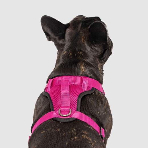 Arnés No-Pull Pink
