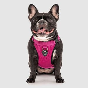 Arnés No-Pull Pink