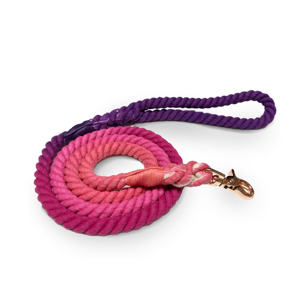 Rope Lead Pink Punch