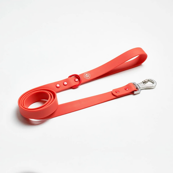 Set de Correa y Waste Bag Holder - Red