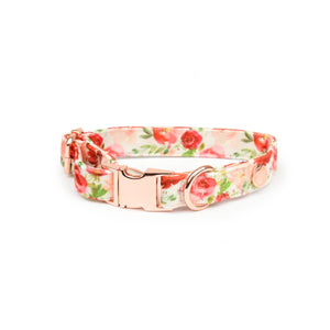 Collar Velvet Holly Floral