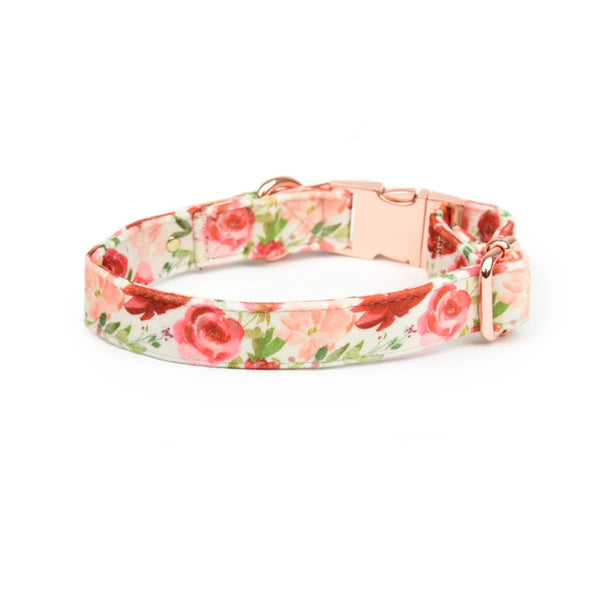 Collar Velvet Holly Floral