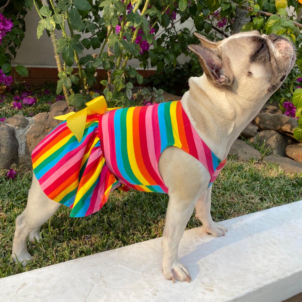 Vestido Rainbow