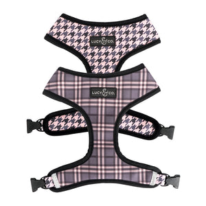 SET DE ARNÉS Y CORREA- Blushing Plaid