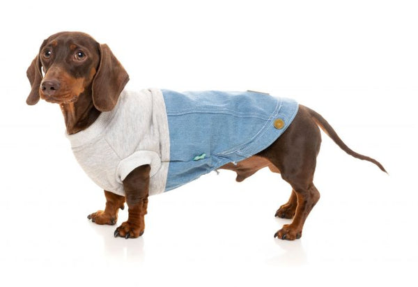 Flynn Sweater