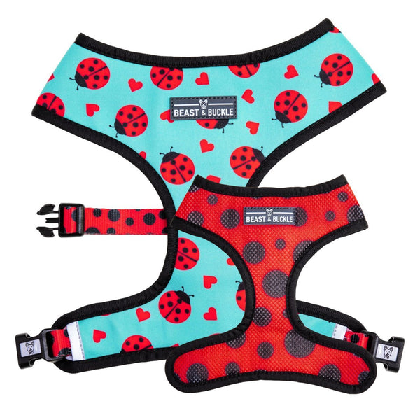 Arnés Reversible Ladybug