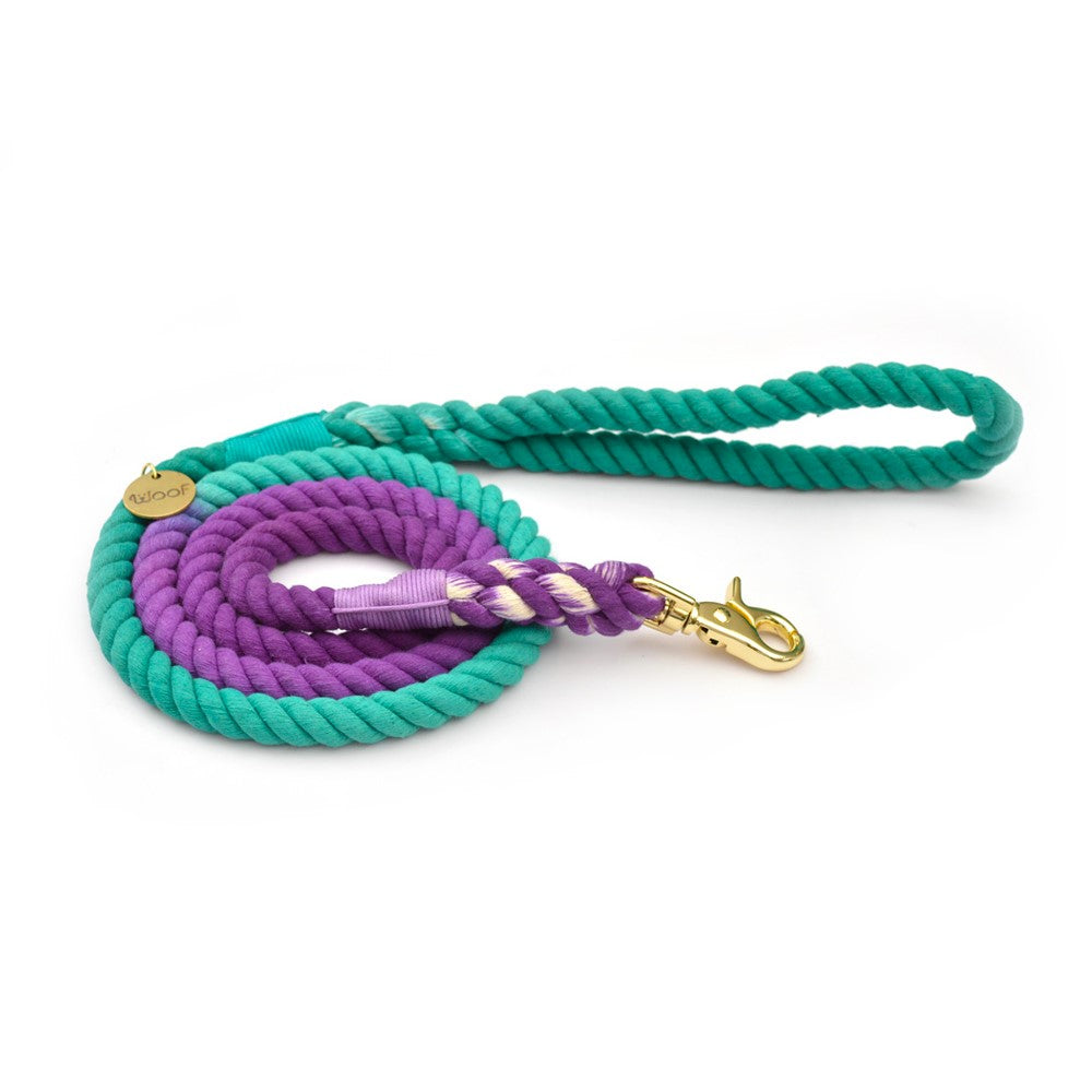 Rope Lead The Northern Lights