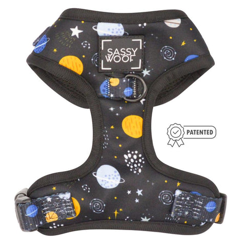 Arnés Ajustable Beyond the Stars