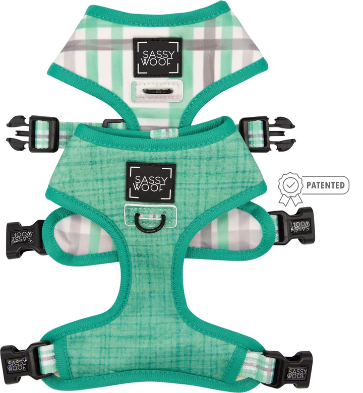 Arnés Reversible Wag Your Teal