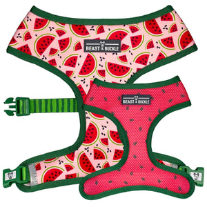 Arnés Reversible Watermelon